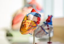 ¿Qué es una arritmia cardiaca y cuáles son sus causas?