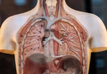 ¿Qué es una embolia pulmonar?