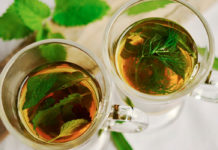 ¿Existen los antibióticos naturales?