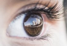 Todo lo que debes saber sobre el orzuelo Todo lo que debes saber sobre el orzuelo