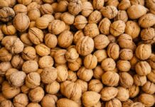 Las nueces: aliadas de la salud cardiovascular