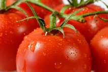 ¿Crees que los alimentos ecológicos son mejores para la salud? ¿Crees que los alimentos ecológicos son mejores para la salud?