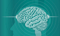 El aprendizaje mantiene el cerebro sano y frena el deterioro de la memoria El aprendizaje mantiene el cerebro sano y frena el deterioro de la memoria