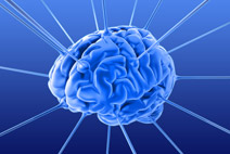 Dislexia detectada en exámenes cerebrales de forma precoz Dislexia detectada en exámenes cerebrales de forma precoz