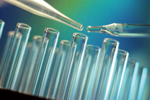 ESTUDIO DEL HIERRO Y EL CÁNCER DE MAMA ESTUDIO DEL HIERRO Y EL CÁNCER DE MAMA